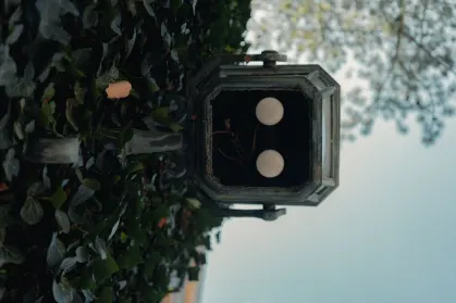 ספין טרופוליס קזינו אפליקציה לנייד